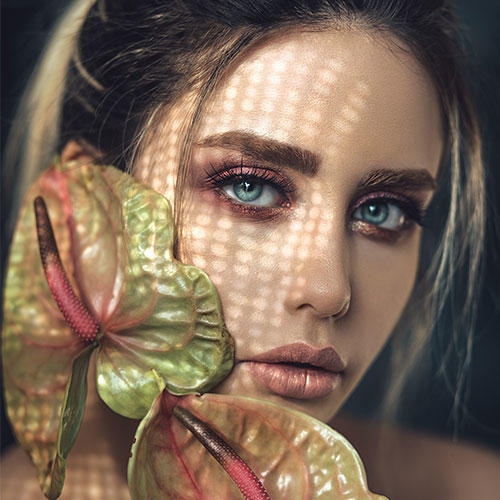 Home image gallery 01.jpg